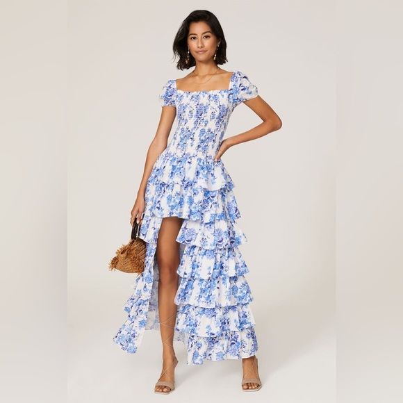 Caroline Constas Dresses & Skirts - Caroline constas Malta gown in blue floral